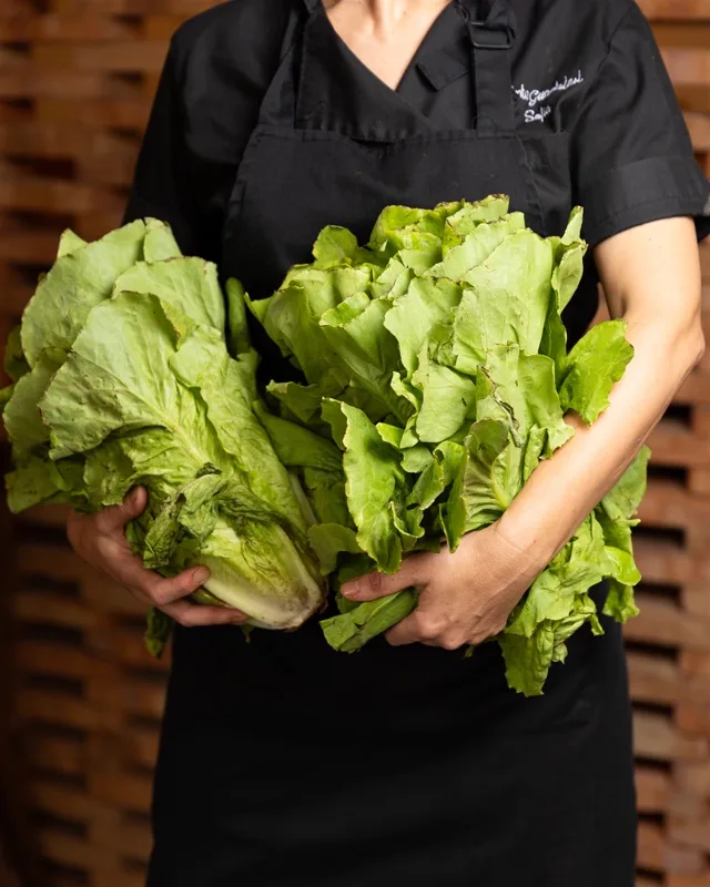 Foto gastron&oacute;mica 10
