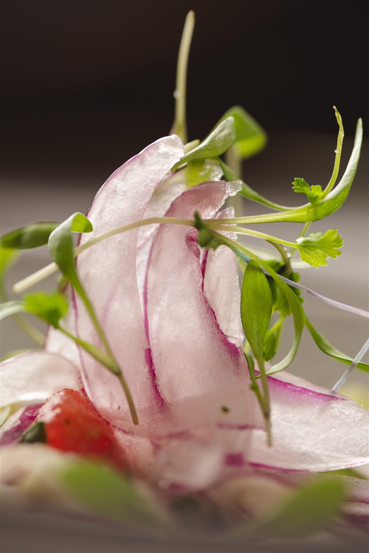 Restaurante Madre: fotografía 10 de la serie